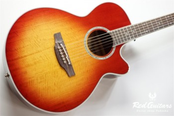 PTU121C - FCB